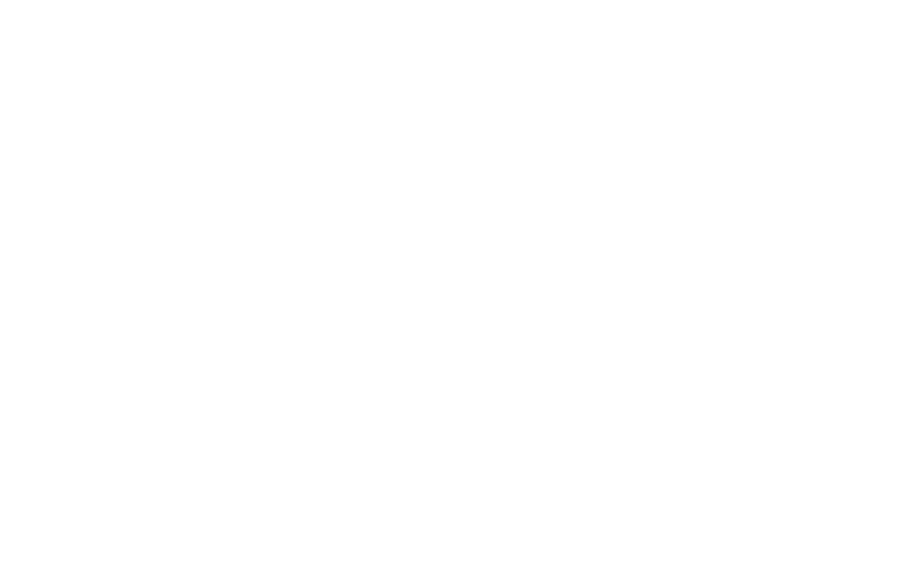 Logo FLAVORZ PACK